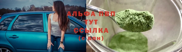 хмурый Гусев