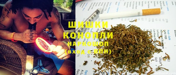 хмурый Гусев