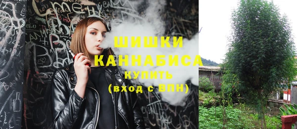 скорость Гусиноозёрск