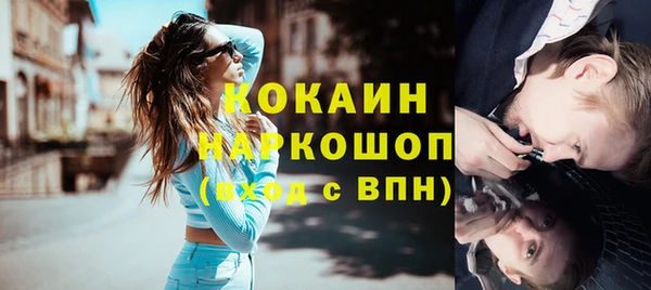 хмурый Гусев