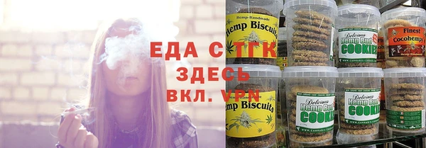 хмурый Гусев