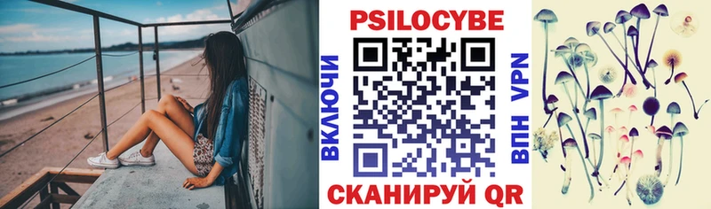 где продают наркотики  Курган  Галлюциногенные грибы Psilocybine cubensis 
